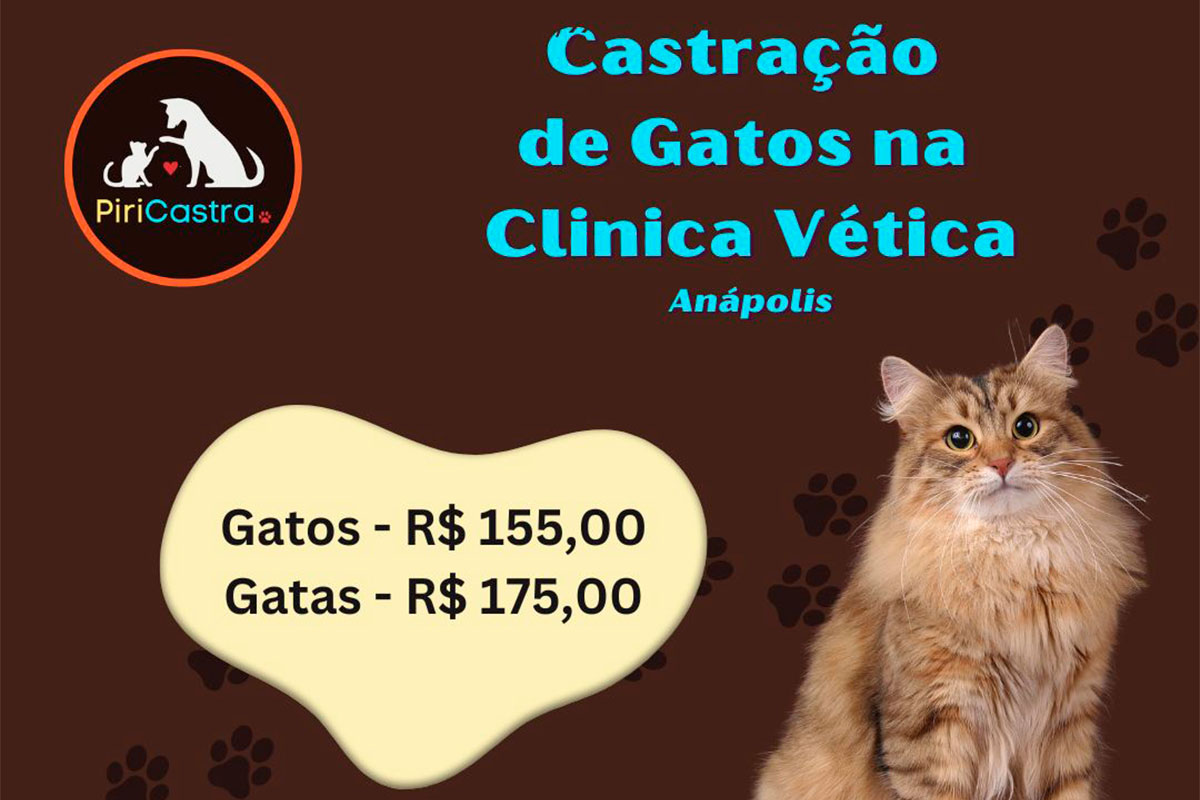 Castração em Pirenópolis ganha opção de baixo custo pela PiriCastra