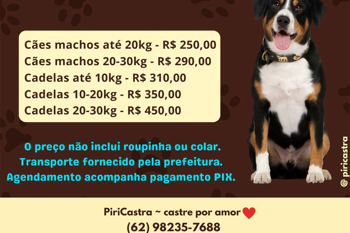 Castração em Pirenópolis ganha opção de baixo custo pela PiriCastra