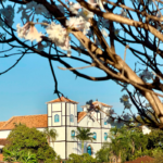 Igreja Matriz de Pirenópolis: memória que permanece