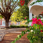 Praça do Coreto revela a beleza tranquila de Pirenópolis