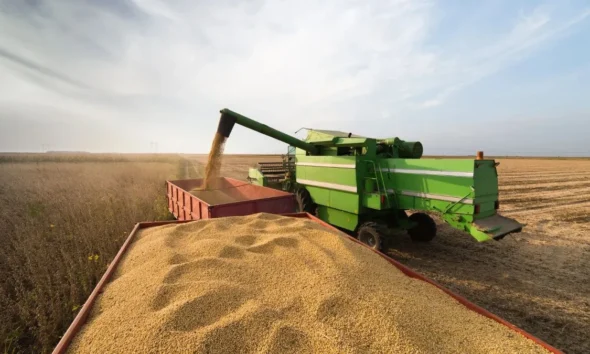 PIB do agronegócio representa 40,3% da economia de Goiás PIB do agronegócio representa 40,3% da economia de Goiás