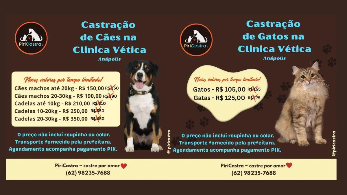 Nesta campanha, a clínica parceira é a Vética Clínica Veterinária, em Anápolis, que acompanha a trajetória da PiriCastra desde o início, assim como a clínica Hane’I