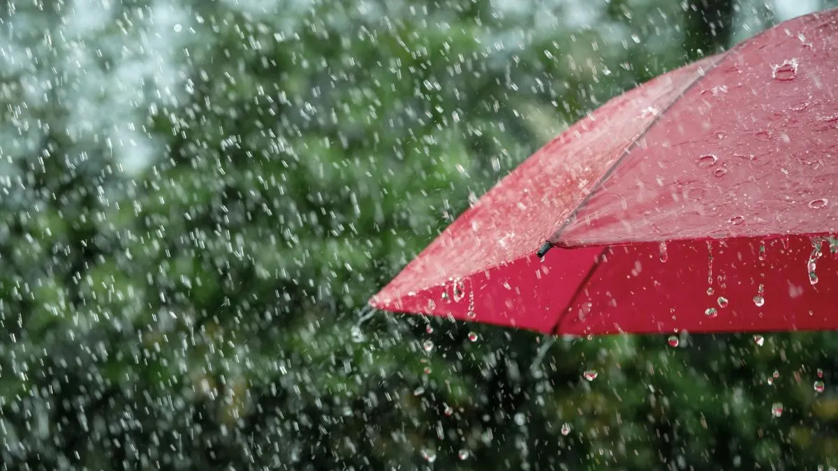 Previsão do tempo em Pirenópolis indica chuva no domingo de eleição Considerando a previsão meteorológica, uma recomendação prática é que os eleitores procurem votar pela manhã, sempre que isso for possível.