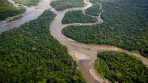 Desmatamento na Amazônia e no Cerrado cai ao menor nível da série histórica