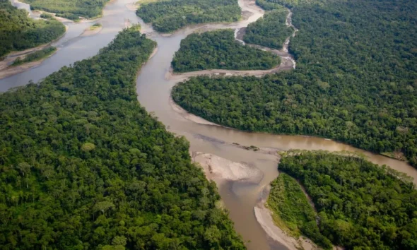 Desmatamento na Amazônia e no Cerrado cai ao menor nível da série histórica Desmatamento na Amazônia e no Cerrado cai ao menor nível da série histórica