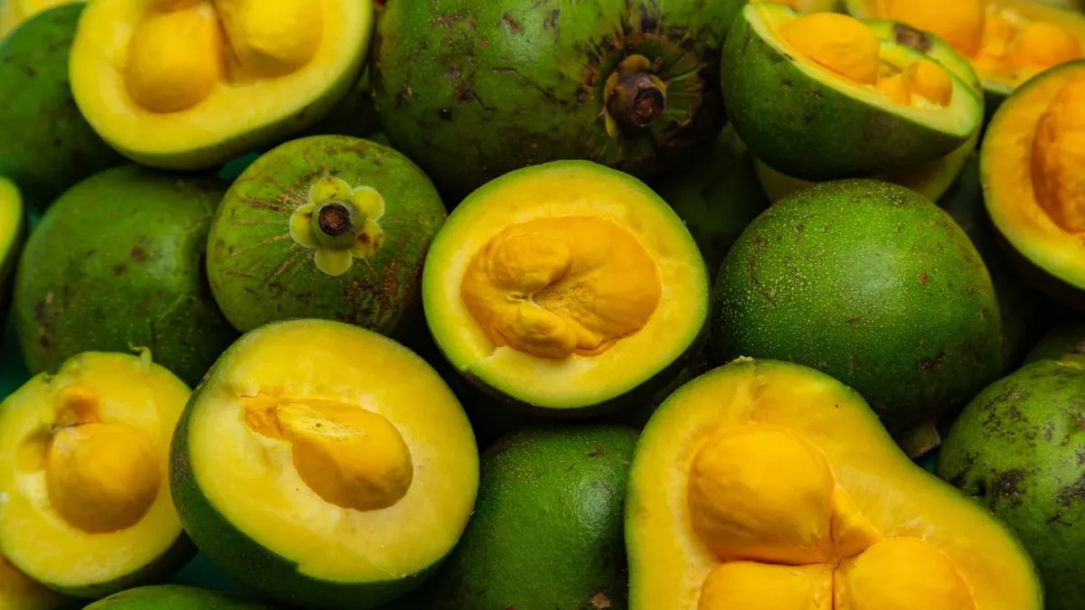 Afinal, celebrar o pequi significa reconhecer não apenas seu sabor, mas também as pessoas e os ambientes naturais ligados à sua produção.