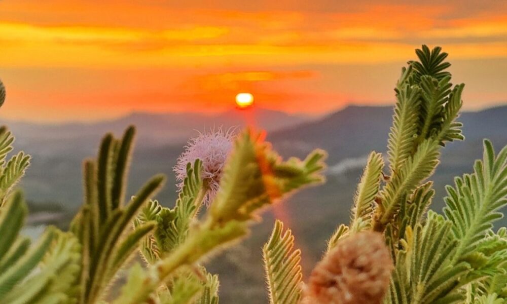 Mirante do Ouro revela um espetáculo de cores no céu Entardecer no Mirante do Ouro colore o céu de Pirenópolis em fotografia de @bildogpiri, destacando a beleza das montanhas e do Cerrado.