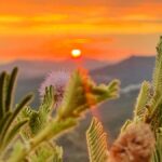 Entardecer no Mirante do Ouro colore o céu de Pirenópolis em fotografia de @bildogpiri, destacando a beleza das montanhas e do Cerrado.
