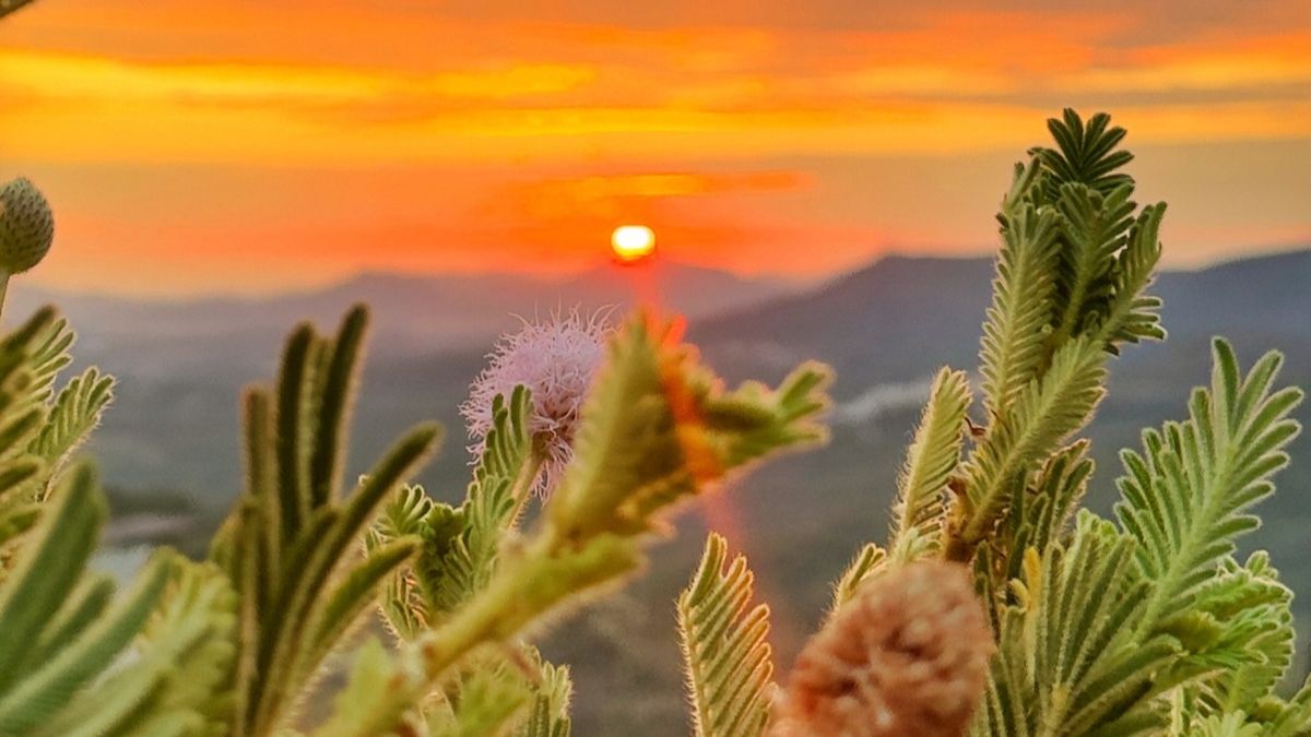 Entardecer no Mirante do Ouro colore o céu de Pirenópolis em fotografia de @bildogpiri, destacando a beleza das montanhas e do Cerrado.