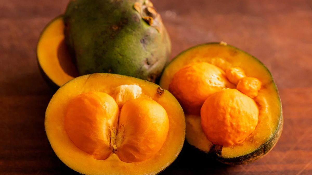 Festa do Pequi terá disputa pelo maior roedor de pequi de Goiás