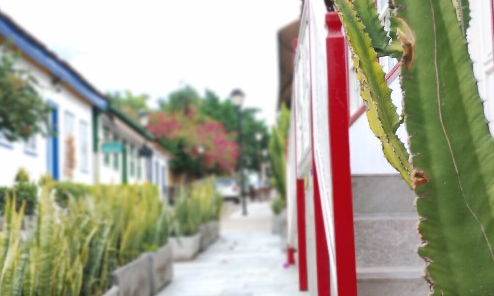 Rua do Lazer ... A natureza e a arquitetura ganham seu lugar ♥️