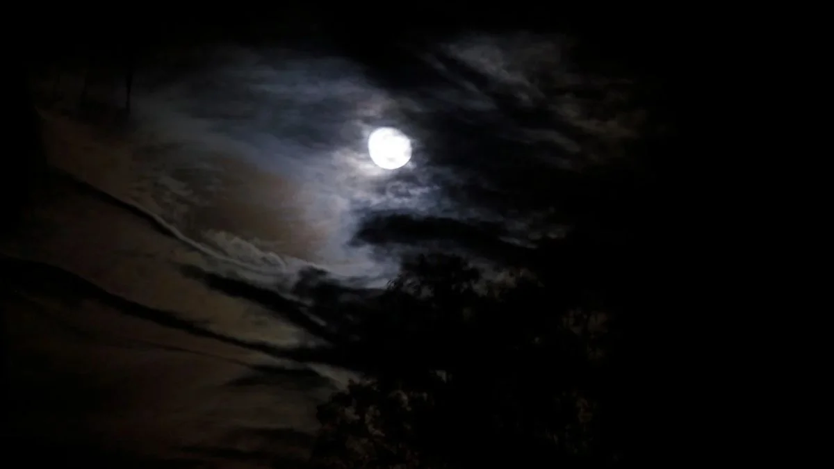 5 lendas de Pirenópolis para conhecer neste Halloween O lobisomem é um dos personagens mais conhecidos do folclore brasileiro e também aparece entre as histórias lembradas por moradores de Pirenópolis.