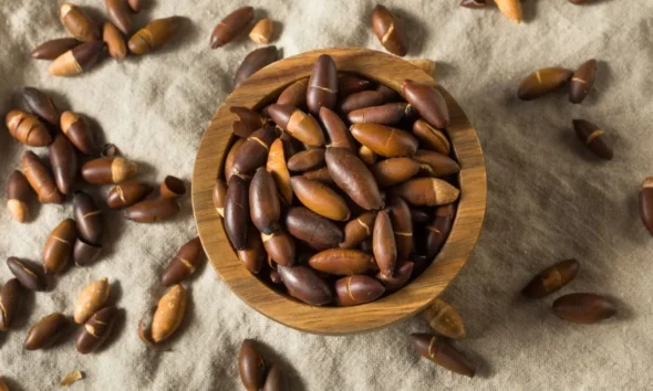 5 lugares para provar sabores do Cerrado em Pirenópolis 5 lugares para provar sabores do Cerrado em Pirenópolis