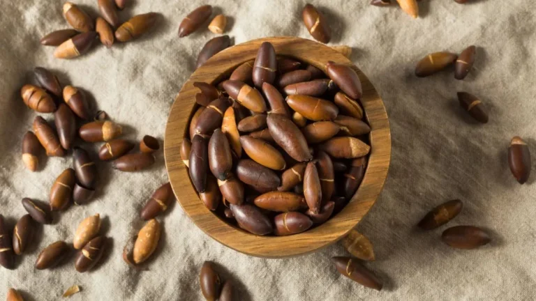 Hoje 5 lugares para provar sabores do Cerrado em Pirenópolis
