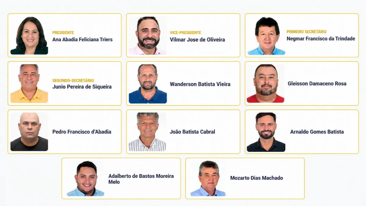 Você conhece todos os vereadores de Pirenópolis? Saiba como fiscalizar